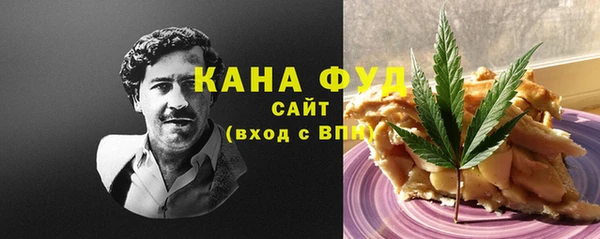 гидра Бородино