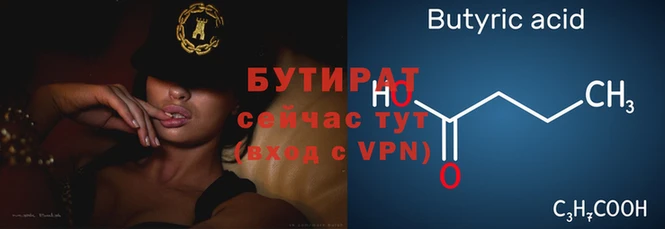 гидра Бородино
