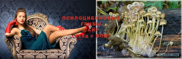 гидра Бородино