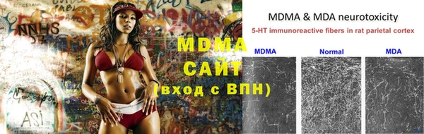 гидра Бородино