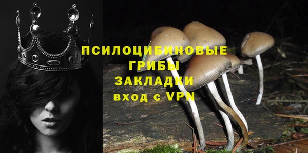 эйфоретик Бугульма