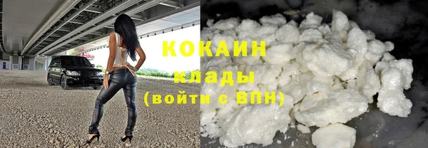 гидра Бородино