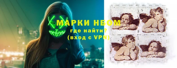 гидра Бородино