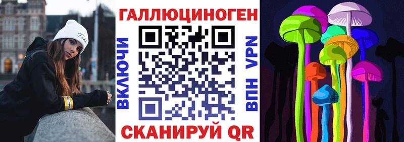 shop Telegram  Медногорск  Галлюциногенные грибы Psilocybine cubensis 
