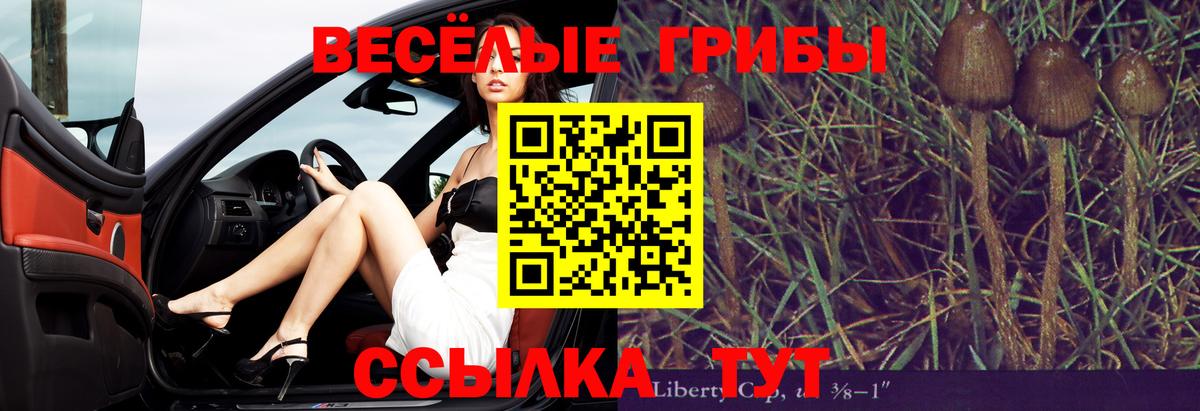 Псилоцибиновые грибы мухоморы Медногорск