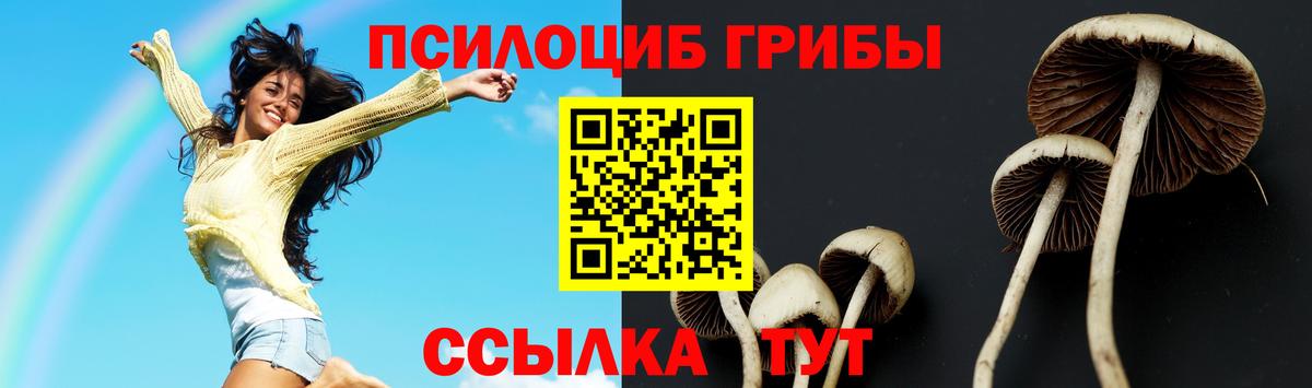 Псилоцибиновые грибы Psilocybe  Псилоцибиновые грибы мухоморы  Медногорск  Вход с VPN 