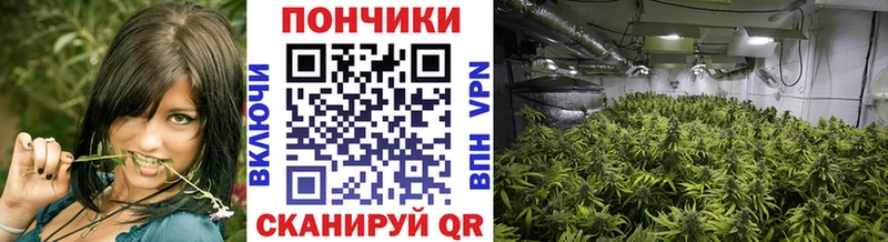 Конопля SATIVA & INDICA Медногорск
